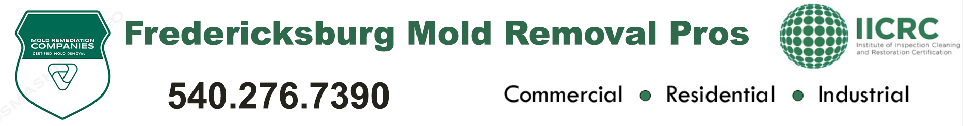 Fredericksburg Mold Removal Pros